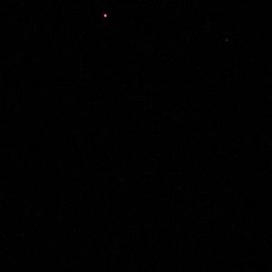 Meet your Posher, Janice